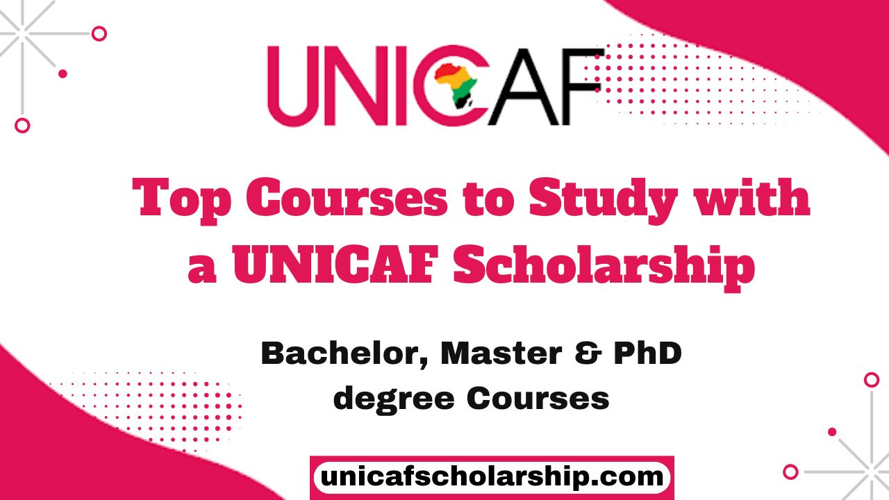 Top Courses to Study with a UNICAF Scholarship