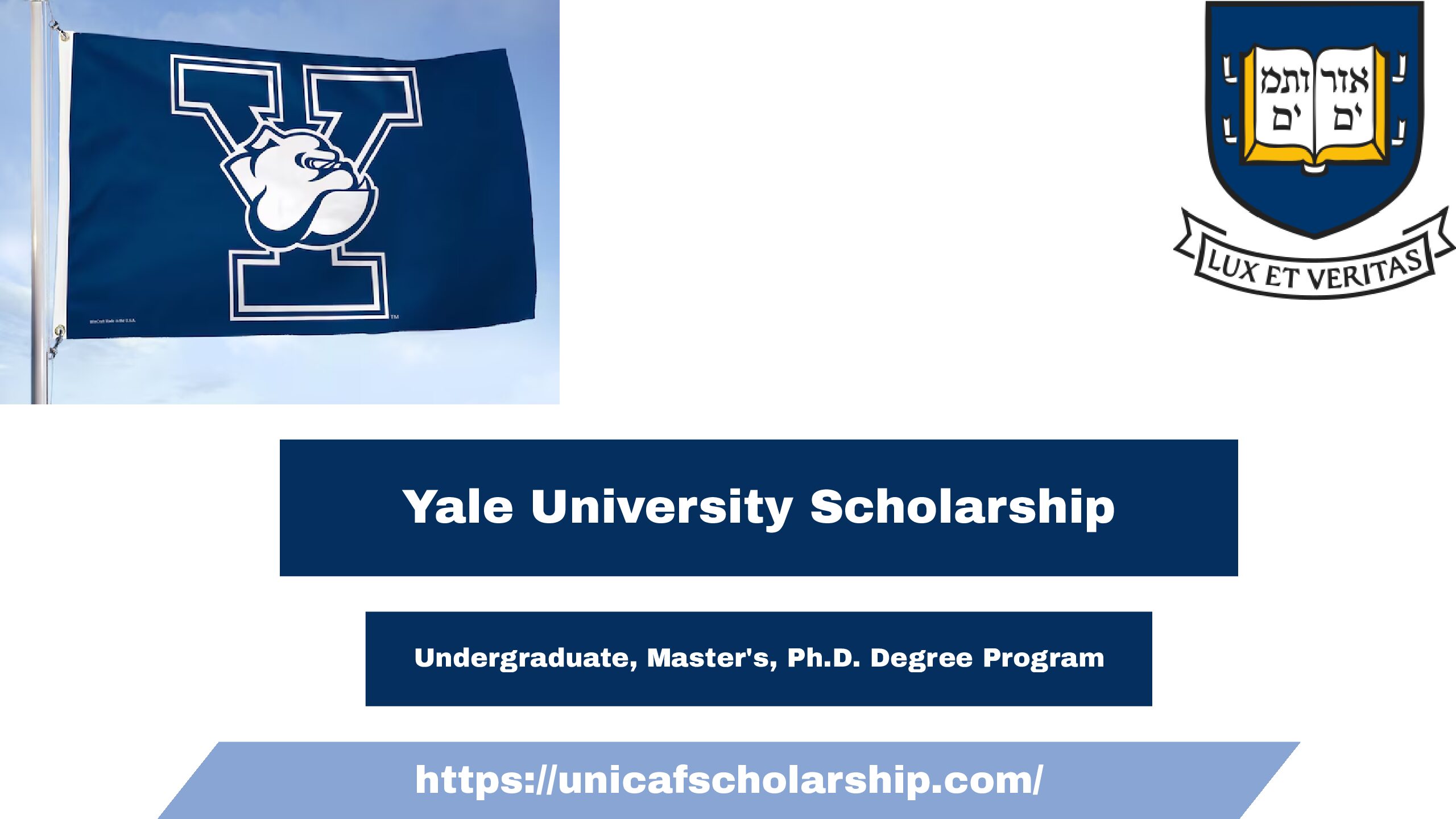 Yale University Scholarship 2027 in USA | Without IELTS